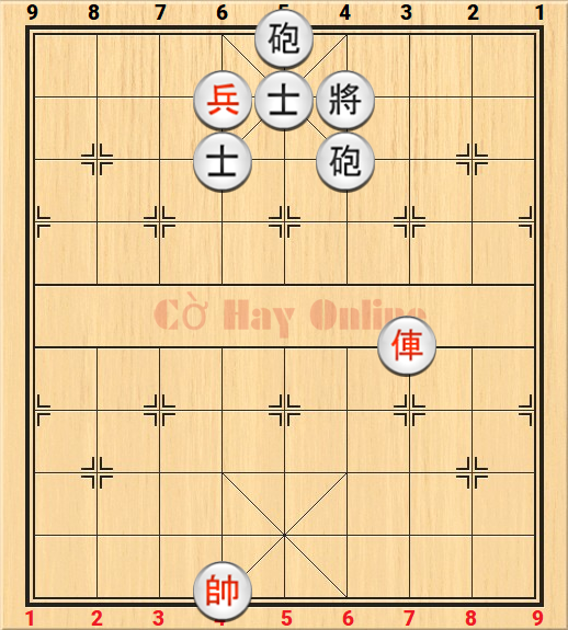 the 211